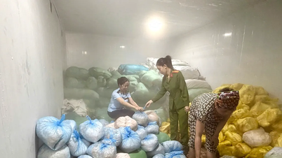 حکام نے نامعلوم اصل کی 14 ٹن سے زیادہ سور کی جلد دریافت کی۔