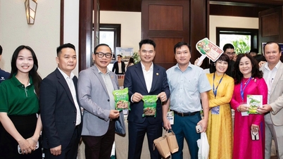 Ruang rangkaian yang berkesan