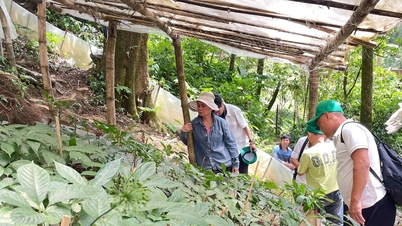 Plan de desarrollo para 16 espacios agrícolas ecológicos vinculados al turismo experiencial.