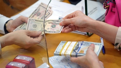 เช้าวันที่ 12 พฤษภาคม: อัตราแลกเปลี่ยนกลางอยู่ที่ 25,123 VND/USD