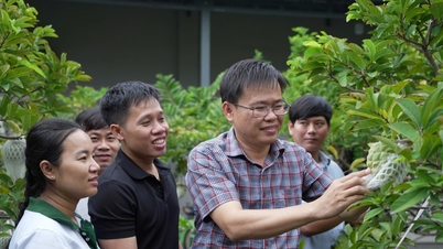 Kinh tế tập thể - mở lối phát triển bền vững