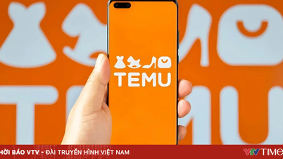 ЕС ужесточает контроль над дешевыми китайскими товарами: с 2026 года покупки на Temu и Shein станут дороже.