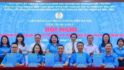제3클러스터는 업무 과제를 수행하고 2026년 에뮬레이션 계약을 체결합니다.