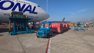 Ông chủ siêu thị LuLu trực tiếp chỉ đạo chuyến bay vận chuyển nông sản Việt Nam sang UAE