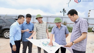 Urban spatial reconstruction of Van Don Special Economic Zone