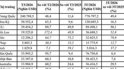 2026年第1四半期の果物と野菜の輸出額は15億2700万米ドルに達し、31.4%という力強い成長を遂げた。