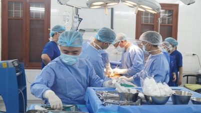 Un caz remarcabil de transplant de rinichi la Spitalul Prieteniei Viet Tiep.
