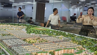 Ceny nieruchomości w Hanoi przewyższyły te w Ho Chi Minh, a mieszkania w przystępnej cenie niemal wymarły.