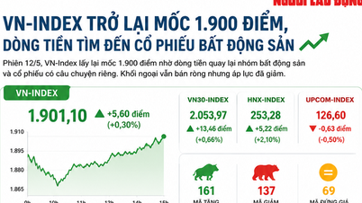 VN-indeksen går tilbake til 1900 poeng, kapital strømmer inn i eiendomsaksjer.
