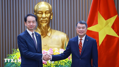 Premier Le Minh Hung przyjmuje ambasadora Chin He Wei.