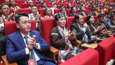 Kongres Kebangsaan ke-11 Barisan Tanah Air Vietnam melancarkan kekuatan kolektif untuk matlamat pembangunan negara.