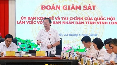 La délégation de surveillance du Comité économique et financier a travaillé avec le Comité populaire de la province de Vinh Long.