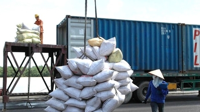 Un nuevo punto de inflexión para las exportaciones de arroz de Vietnam.