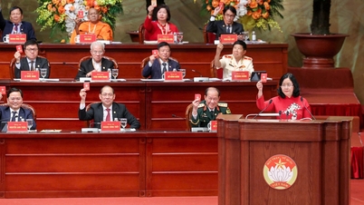Jawatankuasa Pusat Barisan Tanah Air Vietnam, penggal ke-11, telah dipilih melalui perundingan, yang terdiri daripada 397 ahli.