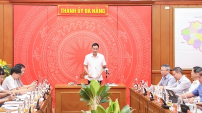 দা নাং প্রতিবন্ধকতাগুলো দূর করতে এবং গুরুত্বপূর্ণ প্রকল্পগুলোর গতি বাড়াতে দৃঢ়প্রতিজ্ঞ।