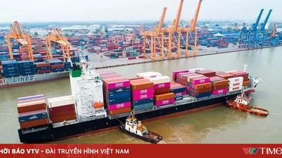 Vietnam's credit rating upgraded to "investment grade" in 2030.