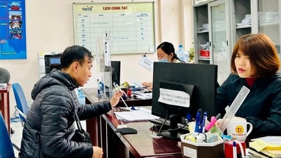 Aprimorar os mecanismos de apoio aos trabalhadores em um mercado de trabalho instável.