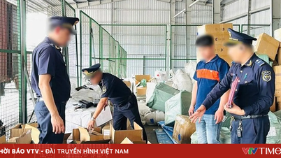 Nearly 20,000 intellectual property infringing products were discovered at Cat Lai Port.
