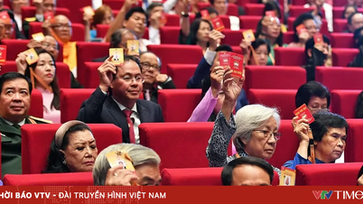 Proses perundingan telah memilih 397 orang untuk menyertai Jawatankuasa Pusat ke-11 Barisan Tanah Air Vietnam.