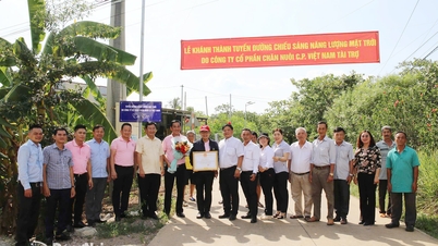 La comuna de Phu Vinh inaugura un sistema de alumbrado público alimentado por energía solar.