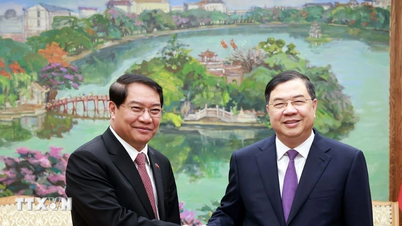 Wakil Perdana Menteri bertemu dengan Sekretaris Komite Partai Kota dan Ketua Dewan Rakyat Vientiane.