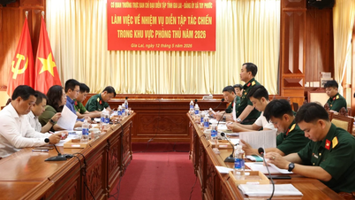Gia Lai provinsielle militærkommando samarbeidet med Tuy Phuoc kommunes partikomité om øvelsesplanen.