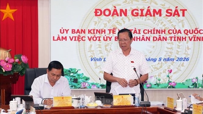 Suivi de la mise en œuvre des politiques économiques et financières à Vinh Long.