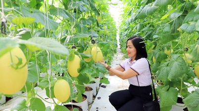 Penstrukturan semula ke arah pertanian bandar dan ekologi.