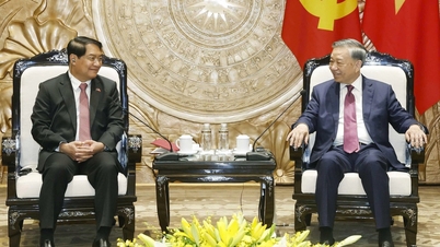 Vietnam is ready to provide maximum support to Laos.