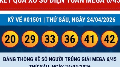 Vietlott piyangosunun bir başka Mega 6/45 bileti de büyük ikramiyeyi kazandı.