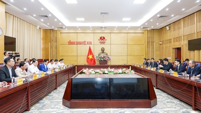 Provinsens folkkommitté höll ett arbetsmöte med delegationen från AeonMall Vietnam Co., Ltd.