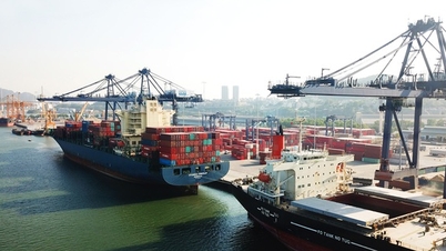 ក្រុមហ៊ុន T&T Group បង្កើនល្បឿនក្នុងការប្រណាំងប្រជែងផ្នែកដឹកជញ្ជូន។
