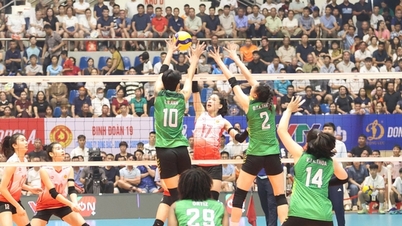 VTV9 - Turneul de volei feminin Binh Dien 2026: Gazdele sunt hotărâte să păstreze trofeul.