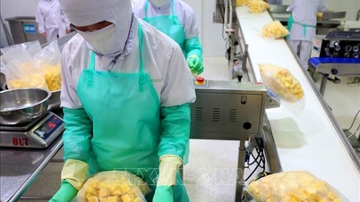 O Vietnã atualiza novos pontos na gestão estatal da origem das mercadorias.