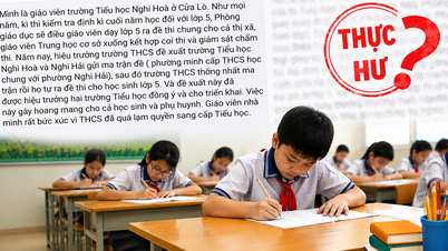 Nghe An: De waarheid achter de informatie dat een leraar van een middelbare school toetsvragen voor basisschoolleerlingen heeft opgesteld.