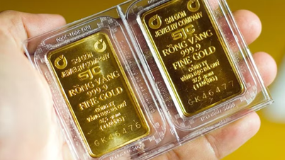 Harga emas domestik telah turun menjadi sekitar 165 juta VND.