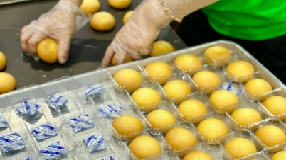 Baki Food نے 2026 کے موسم گرما کے لیے اپنے پگھلے ہوئے انڈے کی زردی کا موچی اسفنج کیک لانچ کیا۔