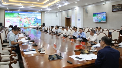 VIMC proponuje inwestycję w serię projektów logistycznych i portowych w Quang Ninh.