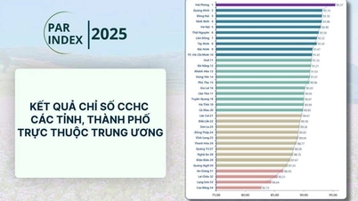 Hải Phòng dẫn đầu toàn quốc về cải cách hành chính năm 2025