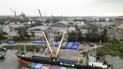 Ceny nawozów dzisiaj, 13 maja 2026 r.: Światowe ceny nawozów DAP wzrosły o 39%.
