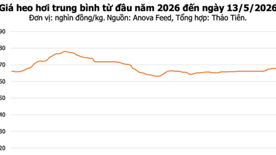 13 Mayıs'taki domuz eti fiyatları: Son La ve Thanh Hoa'da hafif artışlar görüldü, en yüksek fiyat 71.000 VND/kg'a ulaştı.