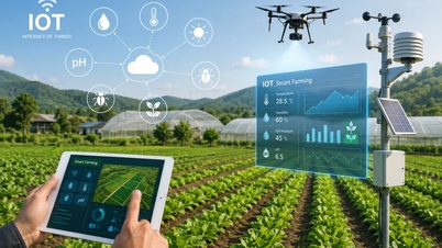 Công nghệ IoT thúc đẩy quá trình chuyển đổi số trong nông nghiệp