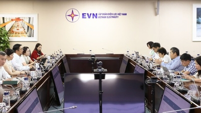 EVN и ADB содействуют сотрудничеству в энергетическом секторе.