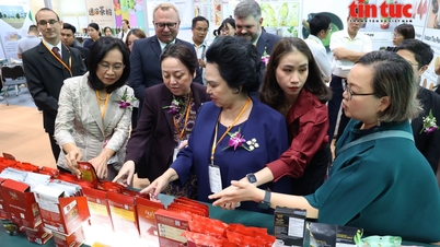 بیش از ۳۰۰ برند بین‌المللی در نمایشگاه Fi Vietnam 2026 در شهر هوشی مین شرکت کردند.