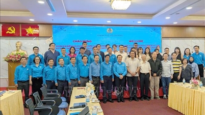 Versterking van de samenwerking tussen de vakbonden van Vietnam en Singapore ter verbetering van de kwaliteit van het menselijk kapitaal.