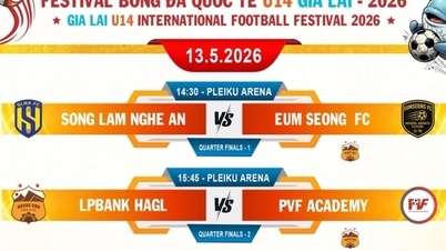 Clasificados para el Festival de Fútbol Gia Lai Sub-14 2026: participarán 4 representantes vietnamitas.
