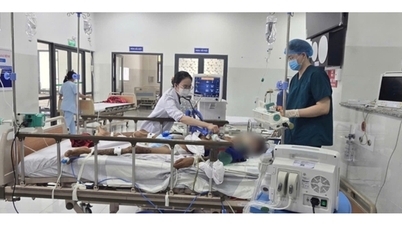 Duo 'respons darurat antar rumah sakit' dan para dokter bergiliran menyelamatkan banyak kasus kritis di Kota Ho Chi Minh.