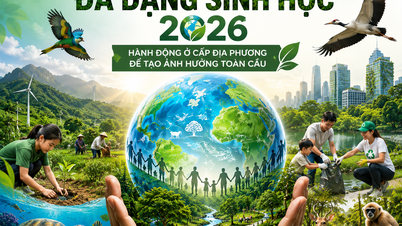 Tindakan Tempatan untuk Impak Global: Jabatan Hal Ehwal Luar Negeri berganding bahu dalam pemuliharaan biodiversiti menjelang 2026.