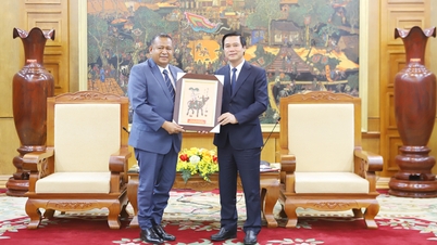 Bac Ninh ve Doğu Timor Demokratik Cumhuriyeti arasında iş birliğini teşvik etmek.