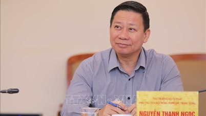 국가 목표 프로그램과 공공 투자 사업의 시행을 가속화하십시오.